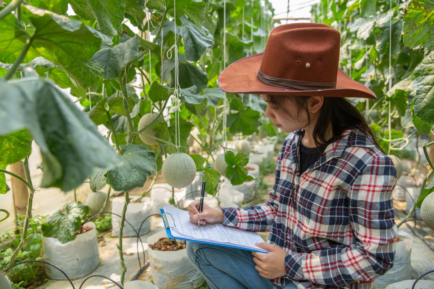 Study Agriculture in Australia